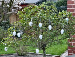 Easter Egg Tree.jpg