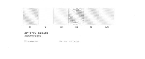 Epson nozzle check print.jpg