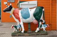 Painted Cow.jpg